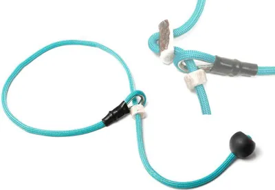 Produktbild von Mystique® Field trial Kurzführer 6mm mit Zugbegrenzung türkisblau 65cm
