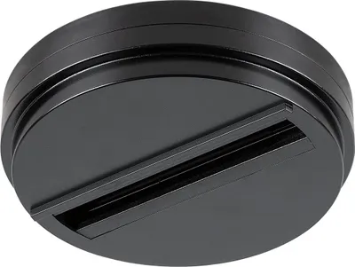 Produktbild von SLV 1004684 DALI Punktauslass schwarz