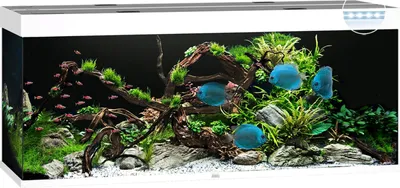 Produktbild von Aquarium JUWEL Rio 450 mit LED-Beleuchtung, Pumpe, Filter, Heizer ohne Unterschrank weiß