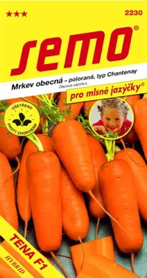 Image de Graines - CAROTTES « TENA F1 »