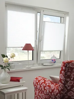 Obrázok produktu pre GARDINIA EASYFIX plisovaná žalúzia s 2 ovládacími lištami, 90 x 210 cm, biela, 33087