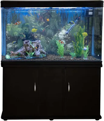 Immagine prodotto di Set completo per acquario MonsterShop Starter: acquario con mobile di base abbinato, ghiaia e fondale inclusi – 143,5 cm (A) x 120,5 cm (L) x 39 cm (P)