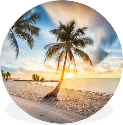 Produktbild von MuchoWow® Rundes Wandbild - Runde Bilder Sonnenuntergang - Strand - Palme Ø 30 cm Kreis Wanddekoration Kunststoff - Wandkreis - Wandschmuck - Schlafzimmer - Bilder - Der Kreis - Kunst für die Wohnung - Plastik - Kunstdruck - Wandbild