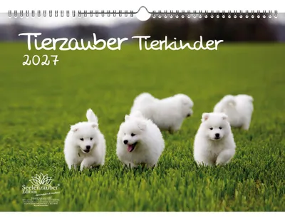 Produktbild von Tierkinderzauber DIN A3 Kalender für 2027 Tierbabys und Tierkinder - Seelenzauber
