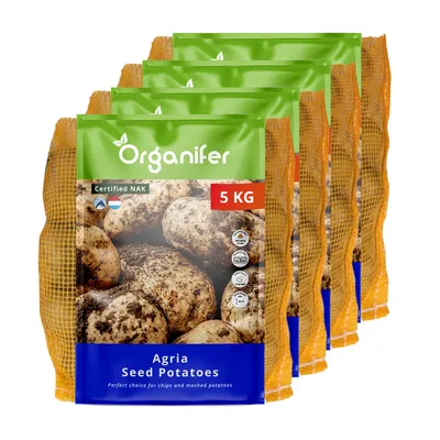 Produktbild von Agria Pflanzkartoffeln 28/35 (20 kg) - Organifer