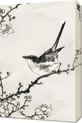 Image de Image 40 x 60 cm « Buschschwätzer », Kashu japonais vintage pour le salon
