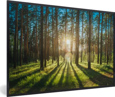 Produktbild von MuchoWow® Gerahmtes Poster Sonne - Bäume - Landschaft - Gras 90x60 cm - Poster mit Schwarzem Bilderrahmen Wandposter Rahmen Foto Bilder - Fotorahmen - Foto-Plakat