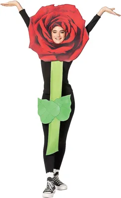 Produktbild von Rote Rose Kostüm