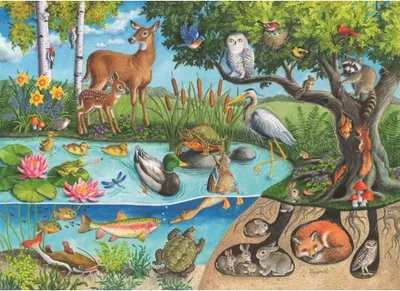 Image de RAVENSBURGER Puzzle Animaux sur et sous terre - les mystères de la nature 60 pièces