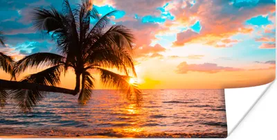 Produktbild von MuchoWow® Poster Palme - Sonnenuntergang - Horizont - Strand - Meer - Tropisch 40x20 cm - Poster für die Wand - Poster Schlafzimmer