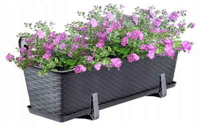 Produktbild von OMAGO Balkonkasten 60cm Graphit mit Griffen und Unterschale