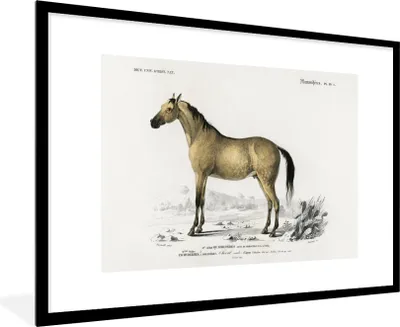 Produktbild von MuchoWow® MuchoWow® Gerahmtes Poster Pferd - Vintage - Tier 90x60 cm - Poster mit zchwarzem Bilderrahmen - Wanddekoration - Fotos