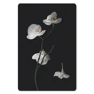 Produktbild von MuchoWow® Mauspad Mousepad Orchidee - Blumen - Schwarz - Weiß - Stilleben 18x27 cm - Mousepads - Maus Mat - Pad - Mausunterlage