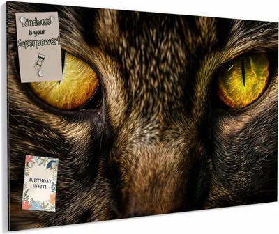 Produktbild von Magnettafel 90x60cm magnetisch & beschreibbar Metall-Board - Katzenaugencloseup