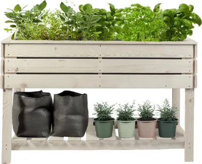 Produktbild von Mega Holz Balkon-Hochbeet - Kiefer - STELZO L 123x61x75 cm inkl. Pflanzgewebe