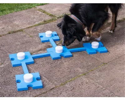 Produktbild von PROCYON Schnüffelspaß - blau