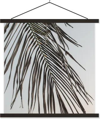 Produktbild von MuchoWow® Textilposter Sommer - Blatt - Palme 40x40 cm mit schwarzem Rahmen - Fotos