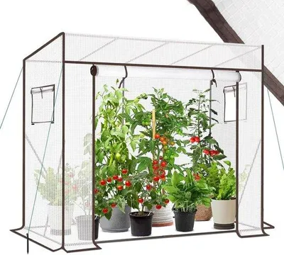 Obrázek produktu pro Zahradní skleník s rolovacími dveřmi pro rajčata a zeleninu - 200 x 77 x 146/170 cm
