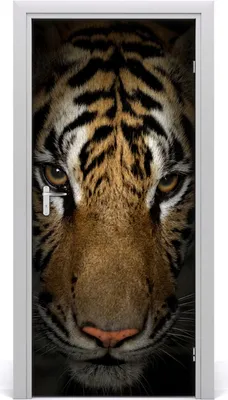 Produktbild von Tulup Türaufkleber 95x205 cm Dekorative Aufkleber Selbstklebend Wasserdichte Tapete Abnehmbar Schlafzimmer Wohnzimmer Wohnkultur - Tiger-Wand