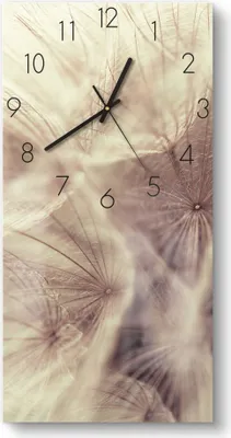 Produktbild von DEQORI Glasuhr 30x60 cm Zahlen 'Zarter Samenflug' Wanduhr Glas Uhr Design leise Küchenuhr