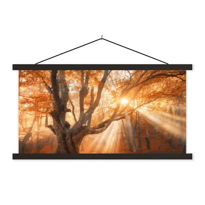 Produktbild von MuchoWow® Textilposter Baum - Natur - Herbst 60x30 cm mit schwarzem Rahmen - Textilien