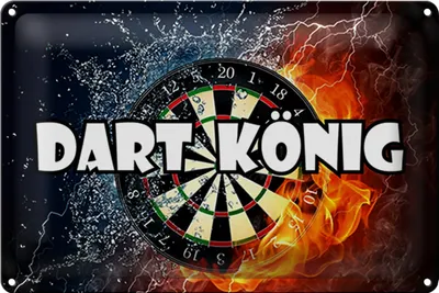 Produktbild von Blechschild Spruch 18x12cm Darts Dart König