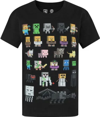 Produktbild von Minecraft offizielles Jungen Sprites Charakter T-Shirt NS4545 (14-15 Jahre (176)) (Schwarz/Orange)