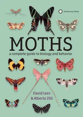 Image de Moths