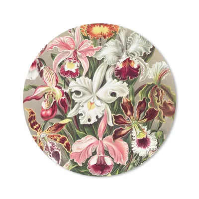 Produktbild von MuchoWow® Mauspad Mousepad Blumen - Ernst Haeckel - Jahrgang - Orchidee 20x20 cm - Mousepads - Maus Mat - Pad - Mausunterlage - Schreibtischmatte