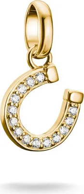 Produktbild von Thomas Sabo Charm Club Connect CC1280-414-14 Charm Anhänger
