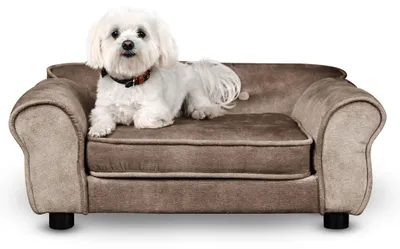 Produktbild von Mg Design Haustiersofa in Grau - stabiles Holzgestell, weich gepolstert, pflegeleicht - Hundesofa & Katzensofa, fertig montiert