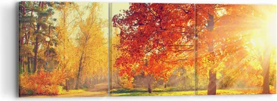 Produktbild von Bild auf Leinwand - Leinwandbild - Park Herbst Baum - 90x30cm - Wand Bild - Wanddeko - Wandbilder - Leinwanddruck - Bilder - Kunstdruck - Wanddekoration - Leinwand bilder - Wandkunst - CA90x30-3654