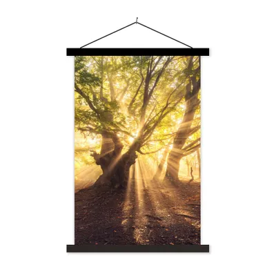 Produktbild von MuchoWow® Textilposter Baum - Wald - Sonne 40x60 cm mit schwarzem Rahmen - Wanddekorationen