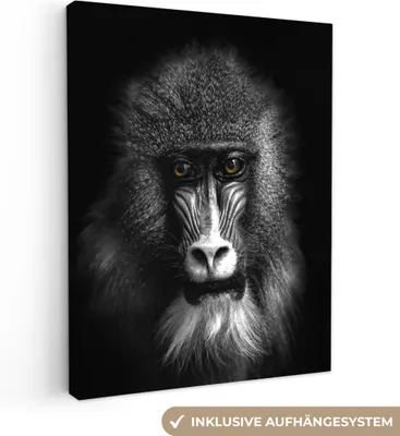 Obrázok produktu pre MuchoWow® - Plátno - Opica - Zvieratá - Oči - Hnedá - Čiernobiela, fototapeta, nástenné dekorácie obrazy obývacia izba, 90x120cm