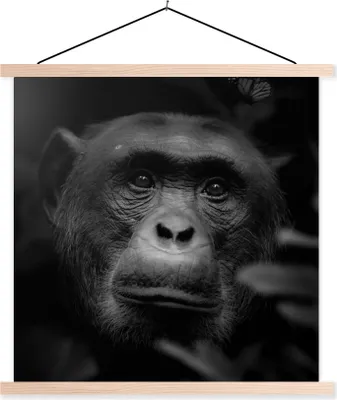 Produktbild von MuchoWow® Textilposter Tiere - Affe - Dschungel - Schwarz - Weiß 120x120 cm mit holzfarbenen Rahmen - Textil-Poster