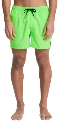 Image de Quiksilver Everyday Solid Volley 15'' Swim Shorts Green 2XL Man Green 2XL