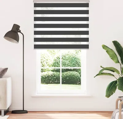 Produktbild von Möbel Doppelrollo Schwarz 135x230 cm Stoffbreite 130,9 cm Polyester - Rollos CLORIS1475237