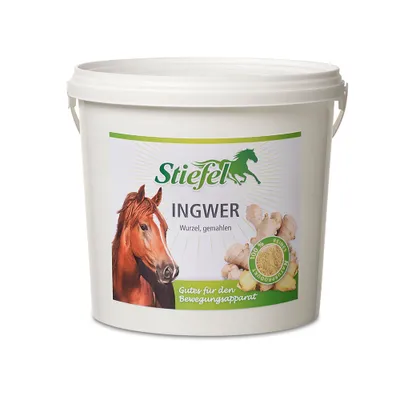 Produktbild von Stiefel Ingwer Zusatzfutter Ergänzungsfuttermittel