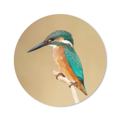 Produktbild von MuchoWow® Mauspad Mousepad Eisvogel - Tiere - Vogel 30x30 cm - Mousepads - Maus Mat - Pad - Mausunterlage - Tischunterlage - Schreibtischmatten