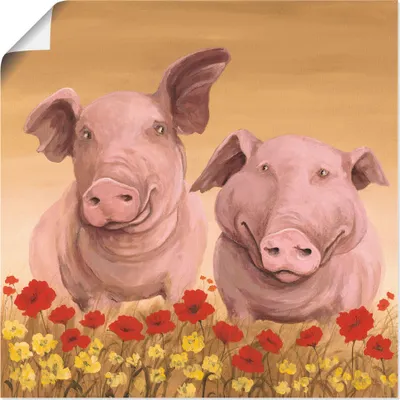 Produktbild von ARTland Poster Schweine Größe: 40x40 cm