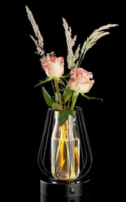 Produktbild von Gilde Metall L ED Vase m. Reagenzgl.Drop VE 2 44631