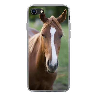 Produktbild von MuchoWow® Handyhülle Schutzhülle Hülle für iPhone 8 Pferd - Natur - Porträt Silikon Softcase Handy Hülle - Schutzhaube