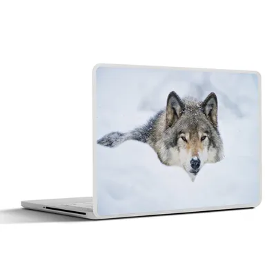 Produktbild von MuchoWow® Laptop Aufkleber Sticker Cover Wolf - Schnee - Mantel 36.5x27.5 cm - Laptop-Sticker