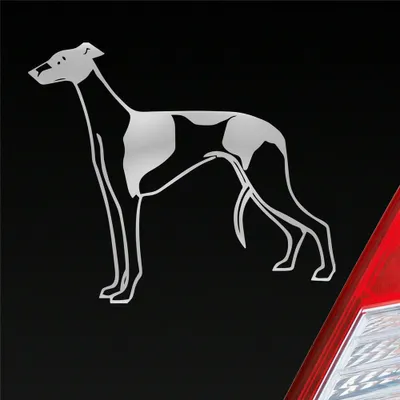 Produktbild von Auto Aufkleber Windhund Hund Dog Animal Tier 12x10 cm Silber Sticker Heckscheibenaufkleber