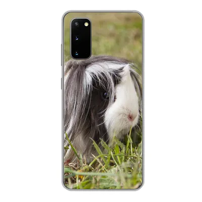 Produktbild von MuchoWow® Handyhülle Schutzhülle Hülle für Samsung Galaxy S20 Langhaar-Meerschweinchen Silikon Softcase Handy Hülle - Bild
