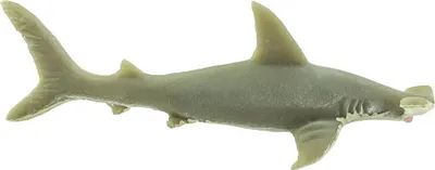 Produktbild von Safari Ltd Hammerhead Shark Good Luck Minis Grey One Size