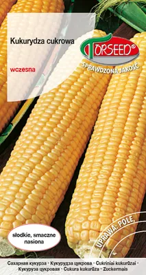 Produktbild von Golden Dwarf Zuckermais Samen 10g - Torseed