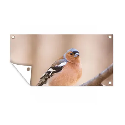 Obrázek produktu pro MuchoWow® Zahradní plakáty - Ptáci - Zvířata - Pěnkava - 80x160 cm - Zahradní dekorace