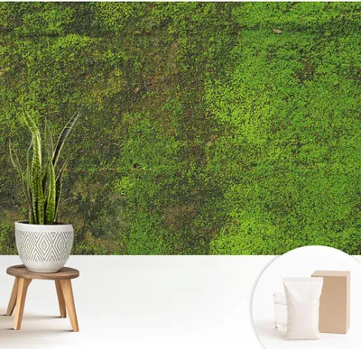 Zdjęcie produktu dla Fototapeta samoprzylepna – 208 x 146 cm – tapeta – tapeta ścienna – obrazy ścienne – folia samoprzylepna – folia dekoracyjna – tapeta foliowa – ściana – dekoracja – salon – zielony dywan
