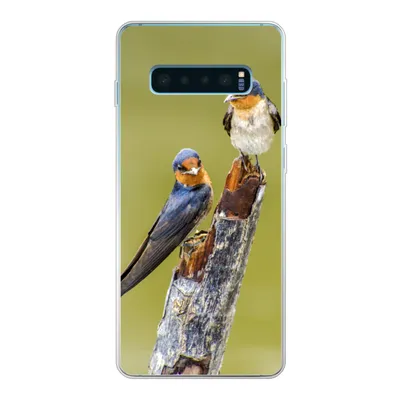 Produktbild von MuchoWow® Handyhülle Schutzhülle Hülle für Samsung Galaxy S10 Lite Vögel - Zweig - Porträt Silikon Softcase Handy Hülle - Schutz
